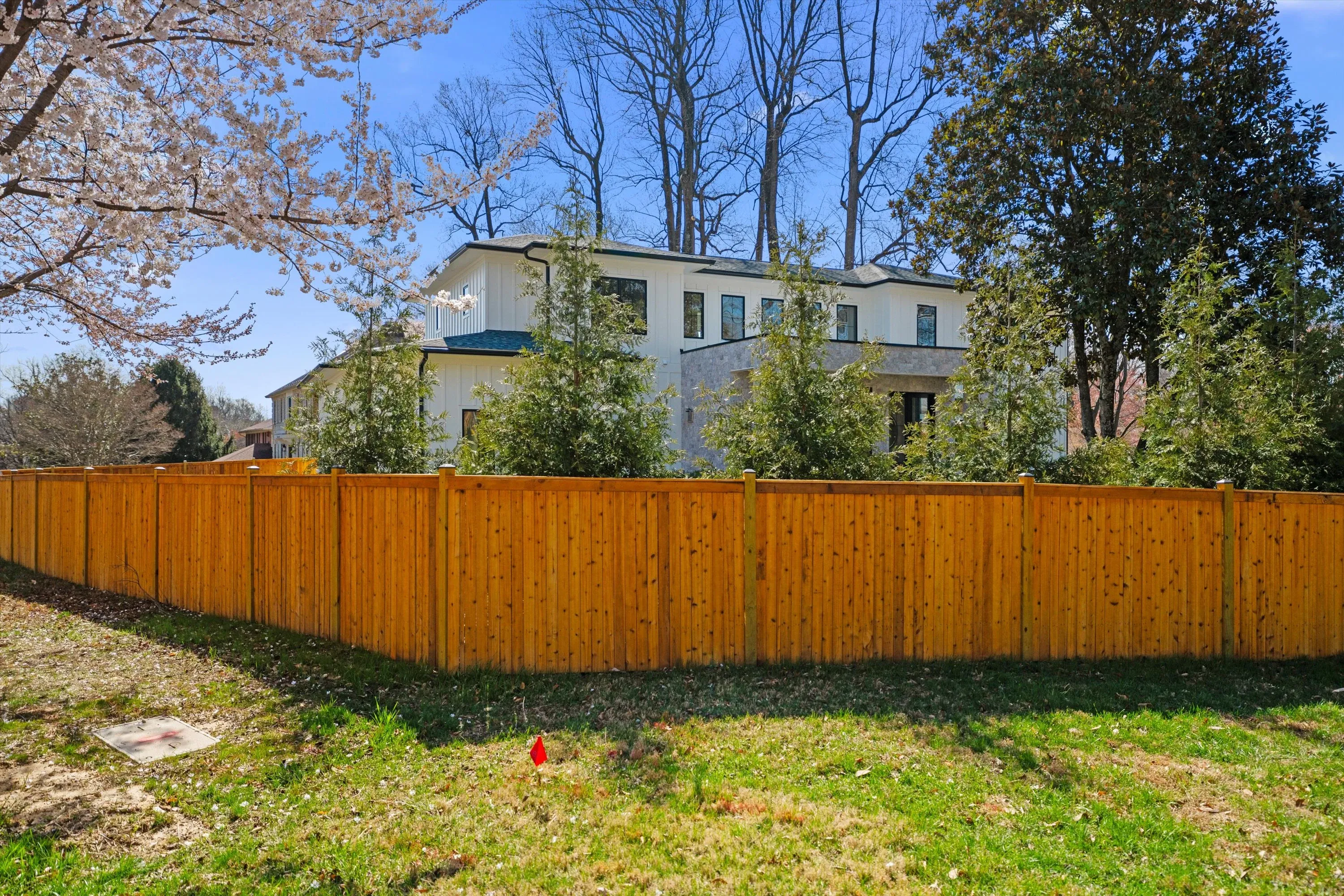 Rear of luxury Bethesda home seen through new cedar privacy fence with cherry blossoms in early spring