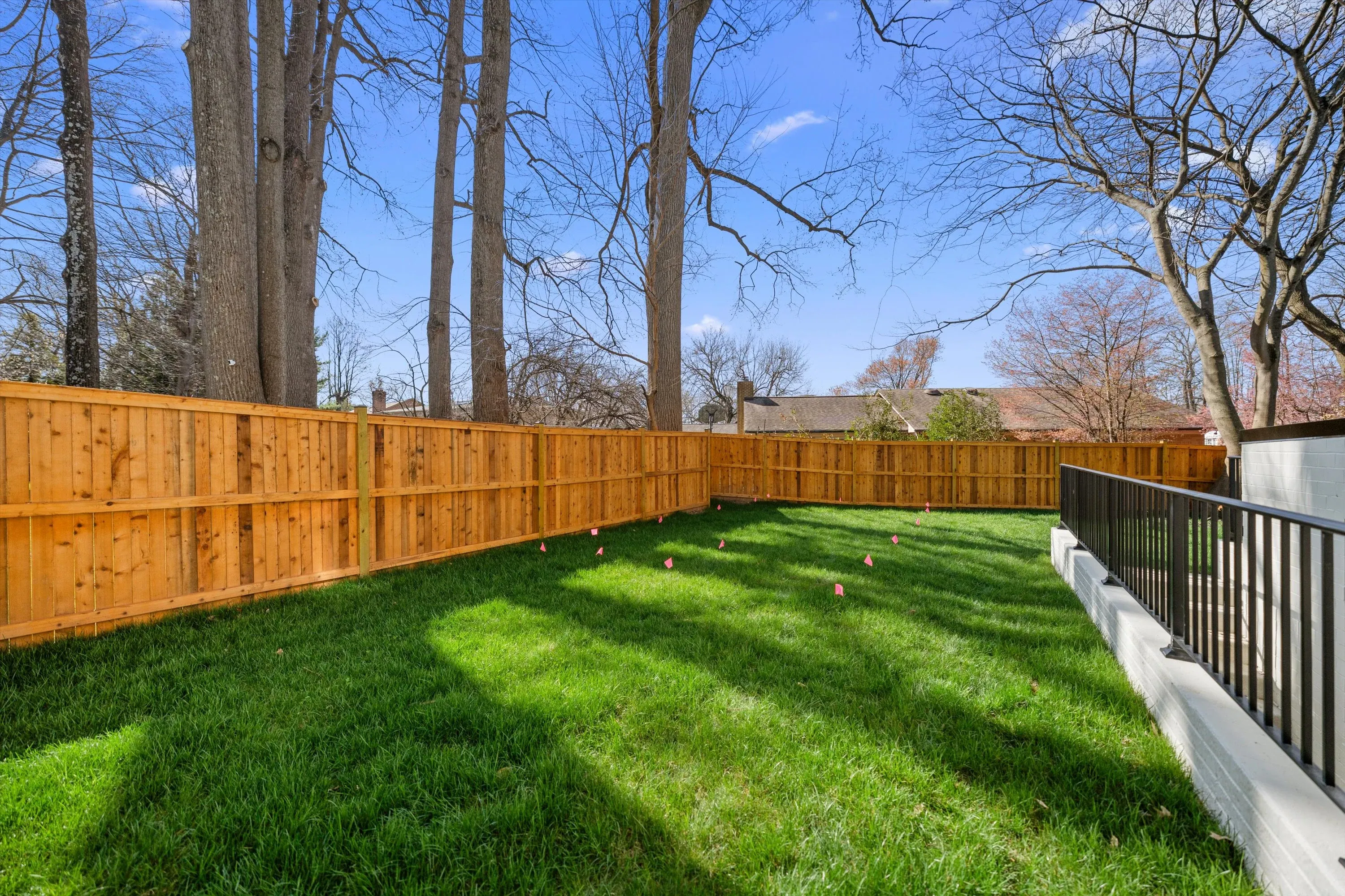 Spacious backyard with fresh sod, new cedar privacy fence, and mature trees in Bethesda MD