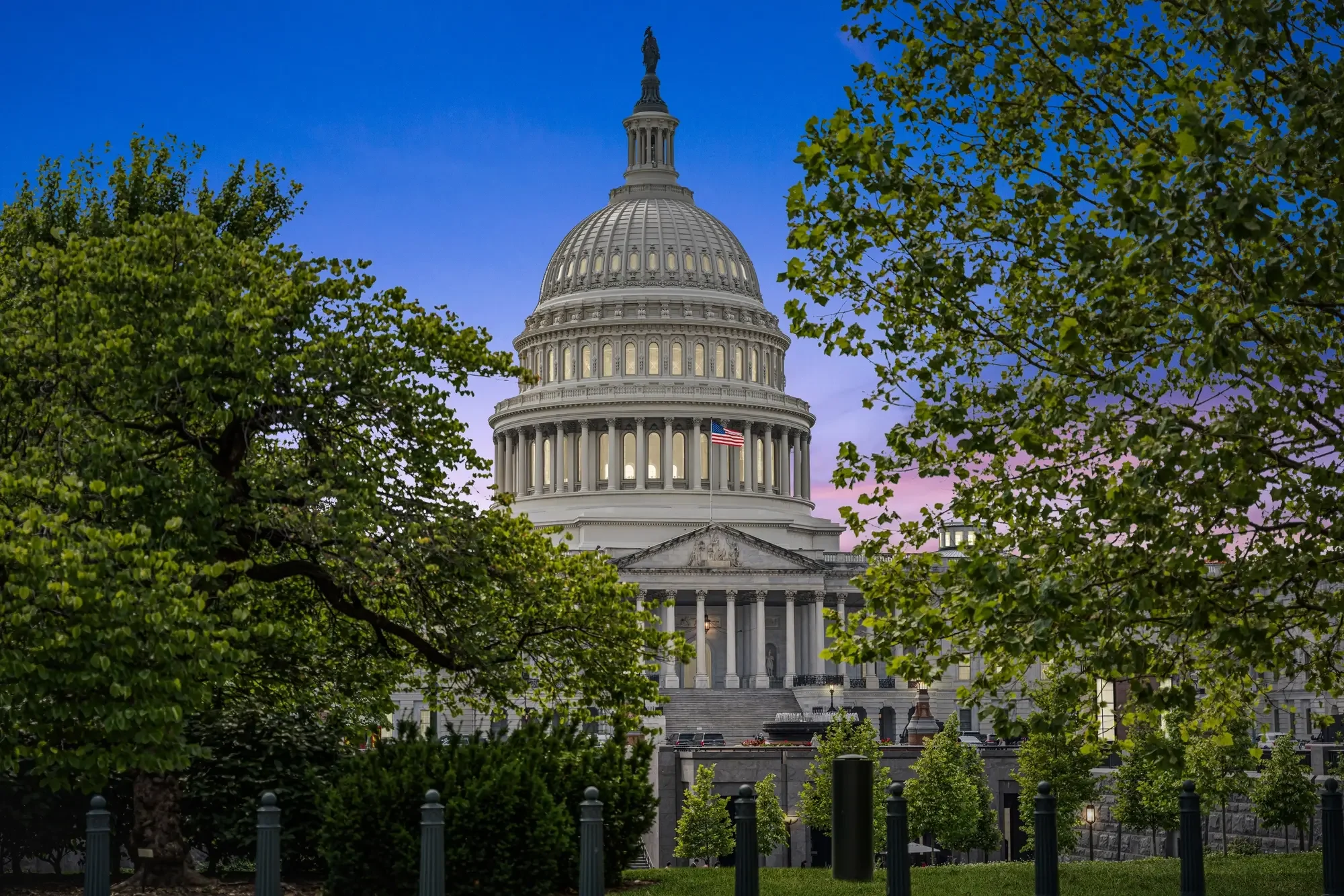 US Capitol dome at twilight framed by trees